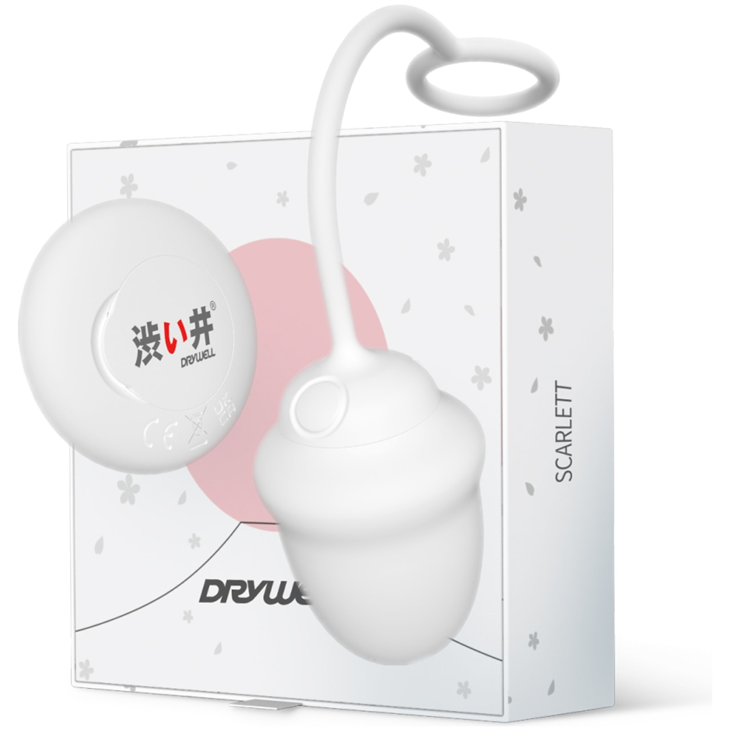 DRYWELL-Vibrators-for-Women-Wireless-Remote-Control-Vagina-Balls-Wear-Vibrating-Panties-Silent-Sexy-Toys-for