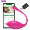 APP Bluetooth Female Vibrator for Women Clitoris Stimulator Wireless Dildo Remote Control Love Egg Sex Toys for Adults