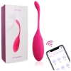 Levett App-Control Vibrating Egg Panties