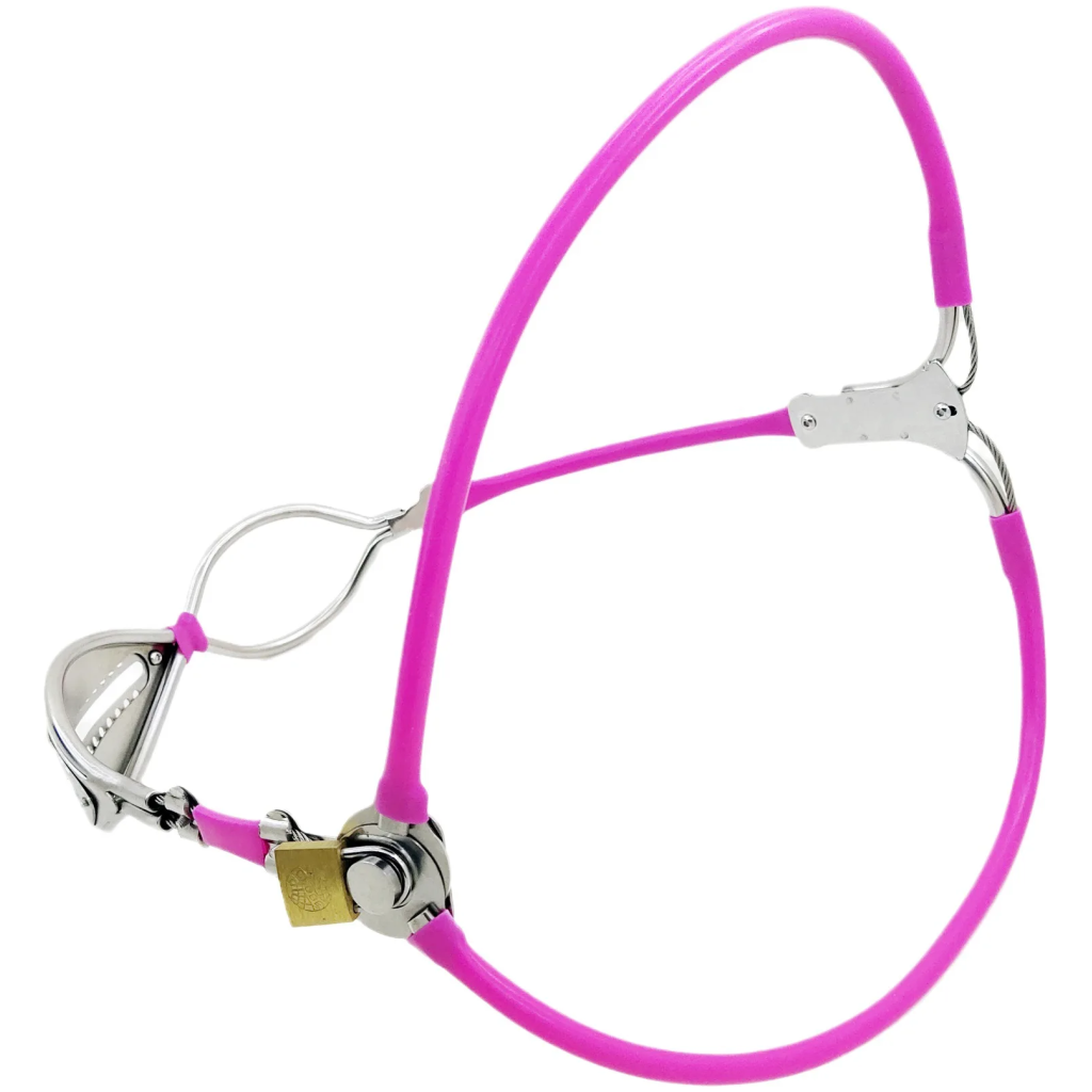 fe chastity belt pants with poop hole invisible strap on stainless steel chastity device underwear bondage sex toy